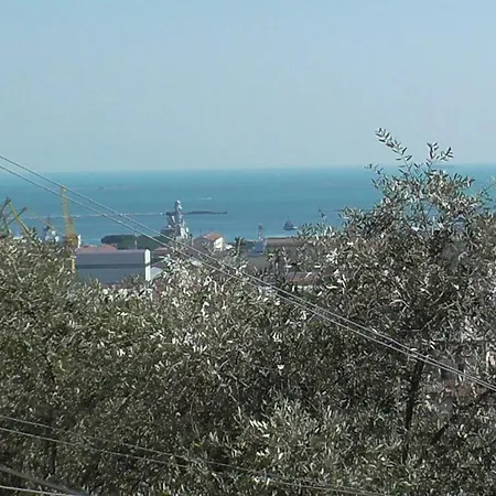 Il Golfo E I Limoni 斯培西亚