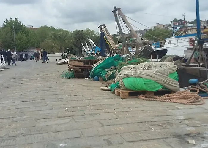 Διαμέρισμα Il Golfo E I Limoni