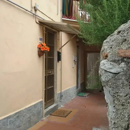 Il Golfo E I Limoni