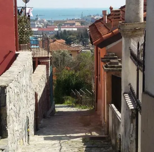 Il Golfo E I Limoni